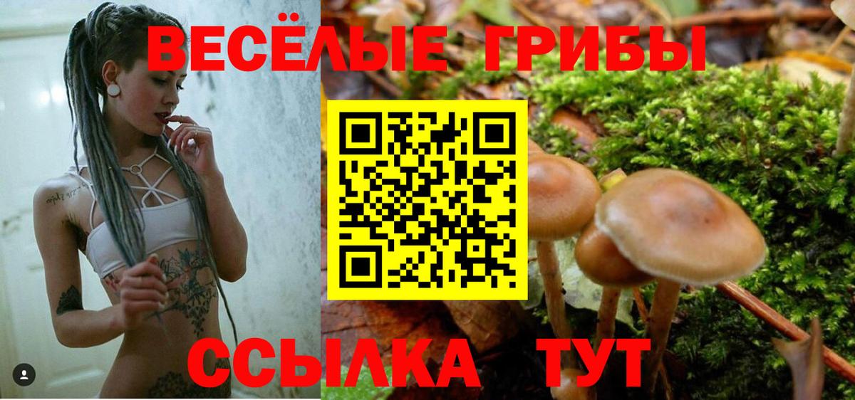 цены   Галлюциногенные грибы Magic Shrooms  Галлюциногенные грибы мухоморы  Вход с VPN  Домодедово 